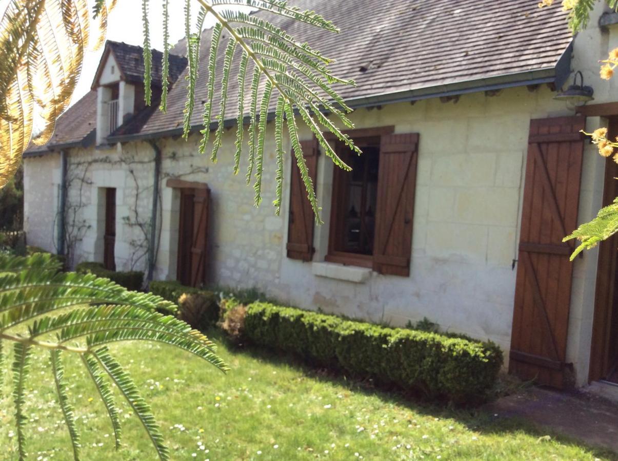 Gite O Beauval Сен-Анян Екстериор снимка